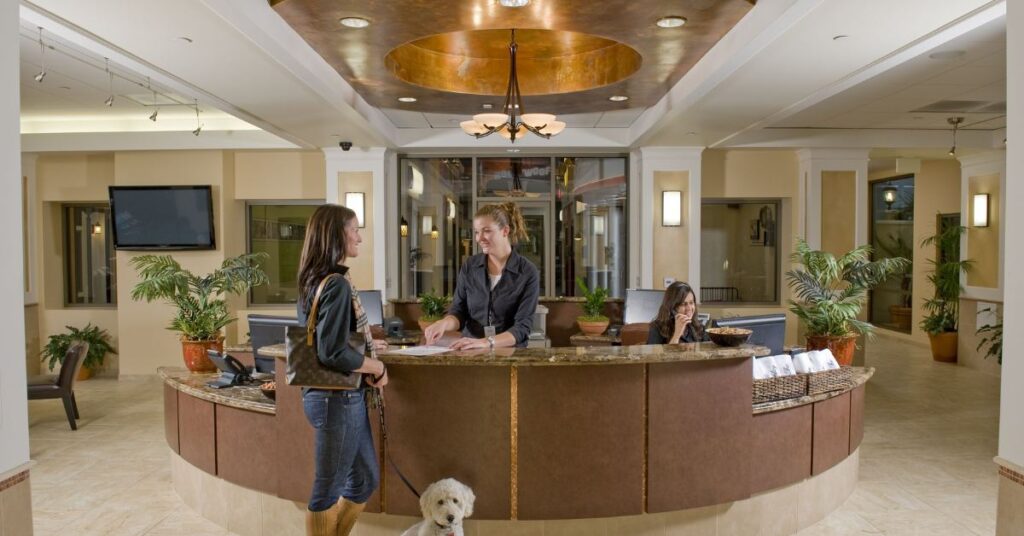 A Pet-Friendly Paradise: World-Class Facility Features